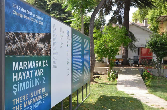 mercan2.jpg mercan2.jpg