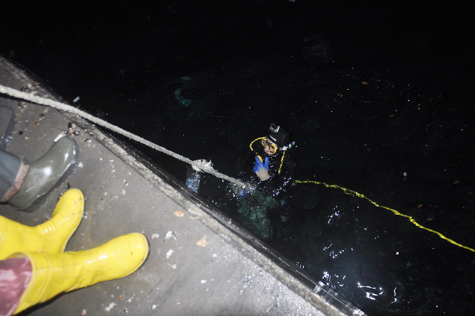 midye2.jpg midye2.jpg