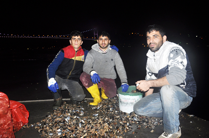 midye5.jpg midye5.jpg