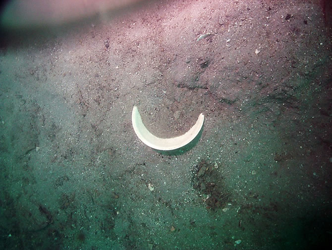 mogol_batik1.jpg mogol_batik1.jpg