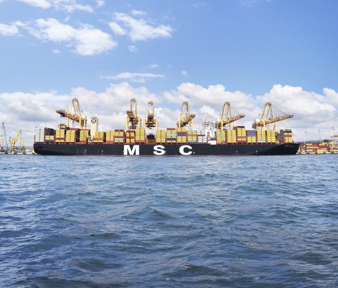 msc-1-012.jpg