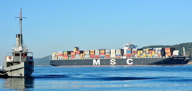 msc2-015.jpg