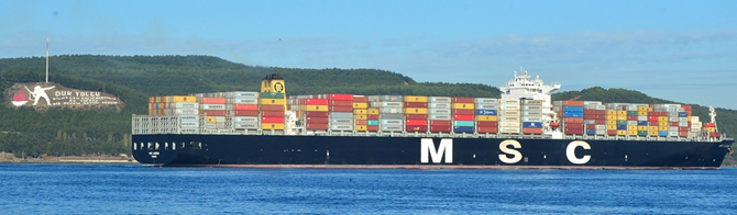 msc5-007.jpg