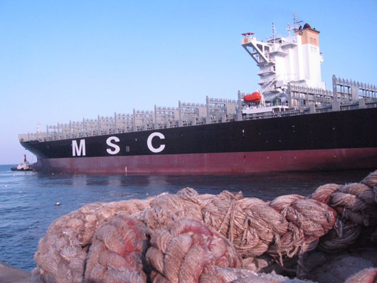 msc_athens_2.jpg