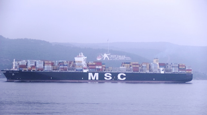 msc_irene.jpg