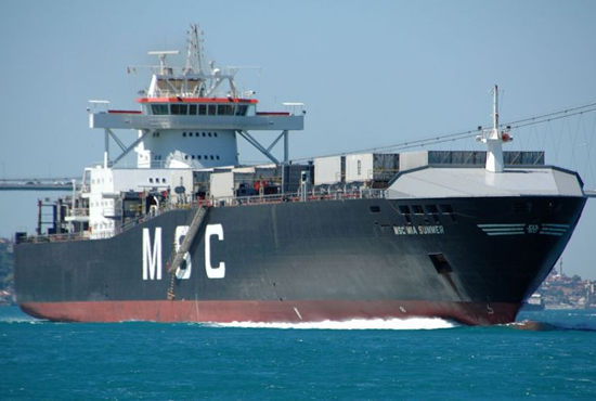 msc_mia_summer.jpg msc_mia_summer.jpg