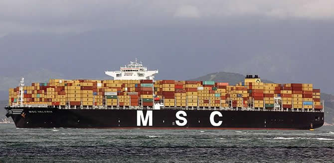 msc_valeria-(1).jpg