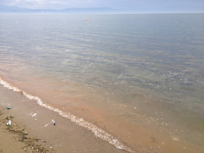 narli2.jpg narli2.jpg