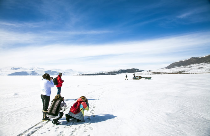 nazik2.jpg nazik2.jpg