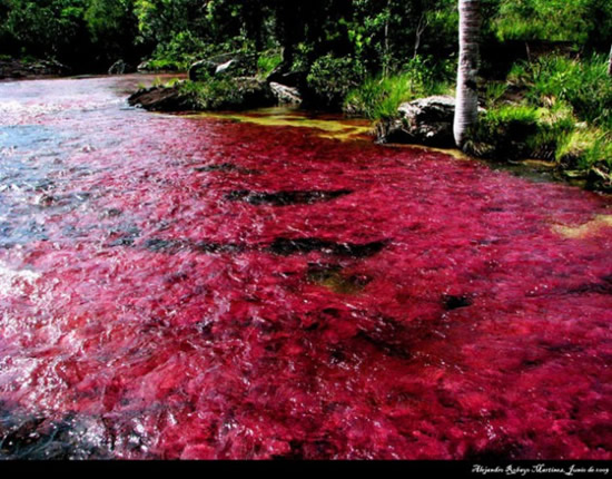 nehir1.jpg nehir1.jpg