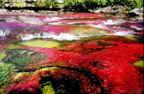 nehir4.jpg nehir4.jpg