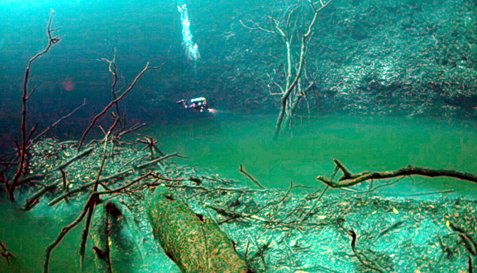 nehir5-001.jpg nehir5-001.jpg