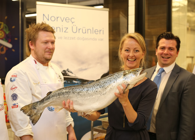 norvec_buyuk.jpg norvec_buyuk.jpg