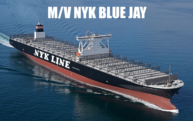 nyk_blue_jay_buyuk.jpg nyk_blue_jay_buyuk.jpg