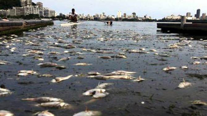 olu_balik1.jpg olu_balik1.jpg