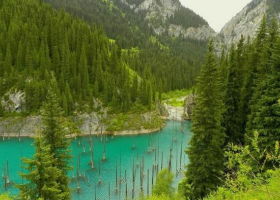 orman.20130201121637.jpg orman.20130201121637.jpg