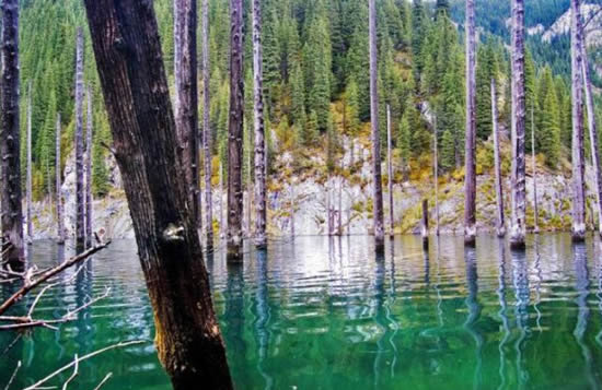 orman1.20130201121646.jpg orman1.20130201121646.jpg