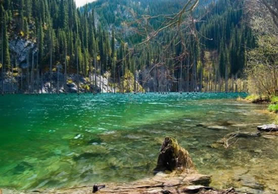 orman10.jpg orman10.jpg