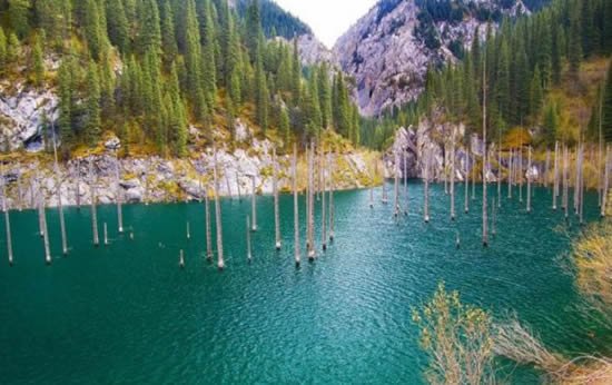 orman12.jpg orman12.jpg