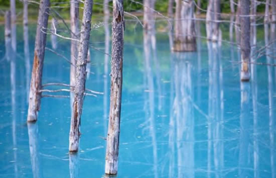 orman13.jpg orman13.jpg