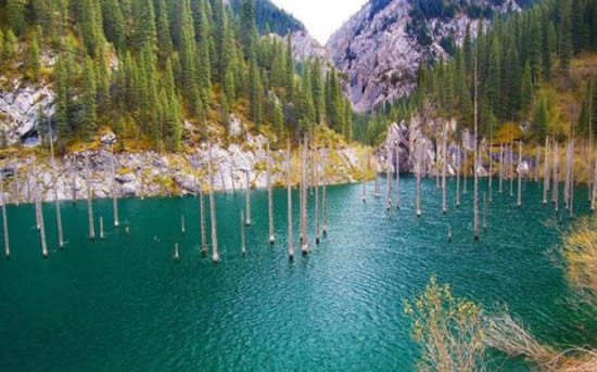 orman14.jpg orman14.jpg