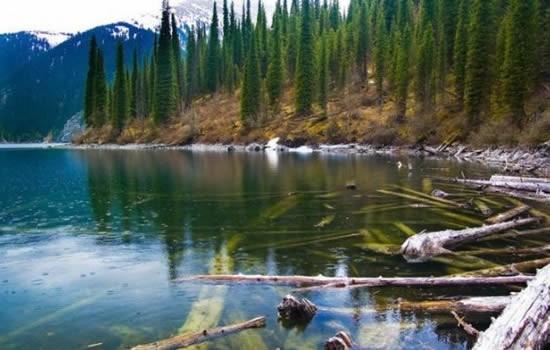 orman15.jpg orman15.jpg