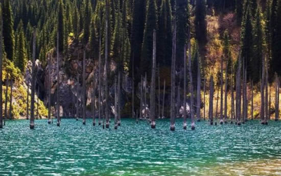 orman2.20130201121657.jpg orman2.20130201121657.jpg