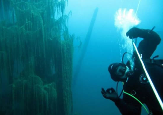 orman4.20130201121714.jpg orman4.20130201121714.jpg