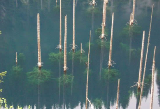 orman5.20130201121724.jpg orman5.20130201121724.jpg