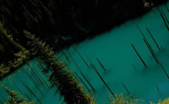 orman7.20130201121743.jpg orman7.20130201121743.jpg