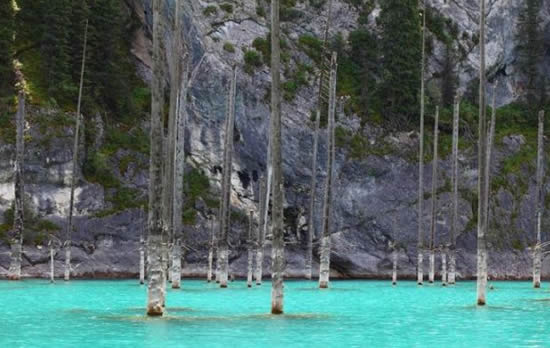 orman8.20130201121759.jpg orman8.20130201121759.jpg