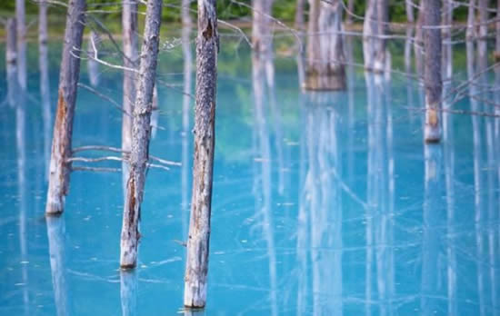 orman9.20130201121809.jpg orman9.20130201121809.jpg