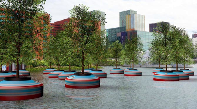 orman_kanal-001.jpg orman_kanal-001.jpg