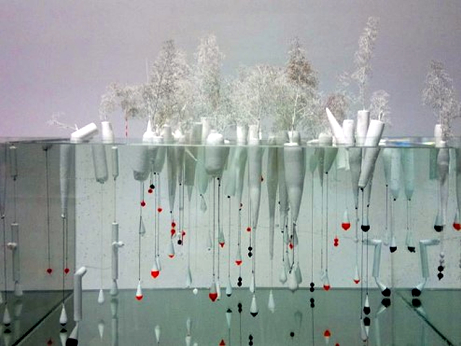 orman_kanal1-001.jpg orman_kanal1-001.jpg