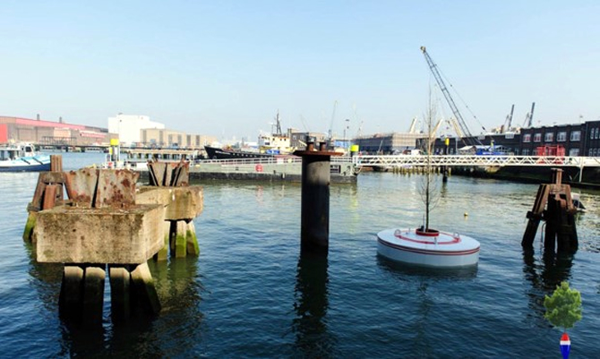 orman_kanal4.jpg orman_kanal4.jpg