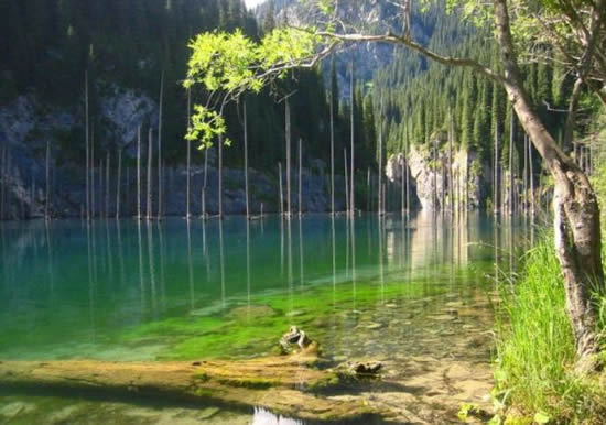 ormann.jpg ormann.jpg