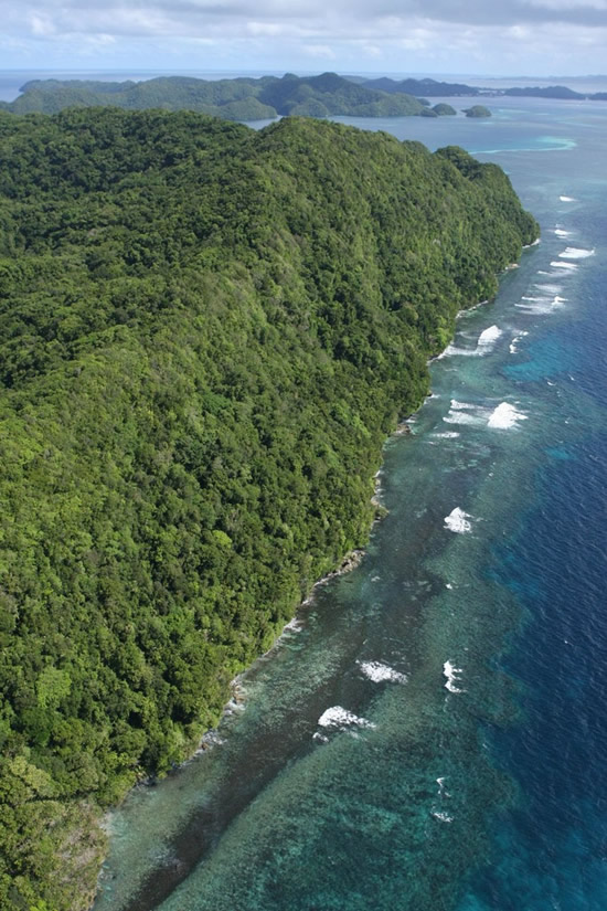 palau1.jpg palau1.jpg