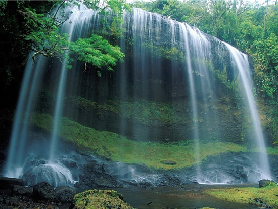 palau11.jpg palau11.jpg
