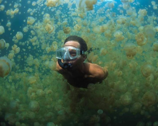 palau12.jpg palau12.jpg
