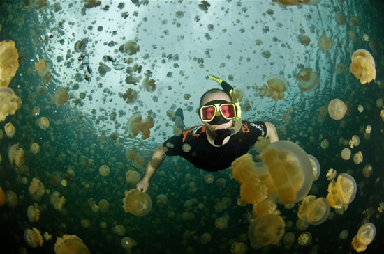 palau14.jpg palau14.jpg