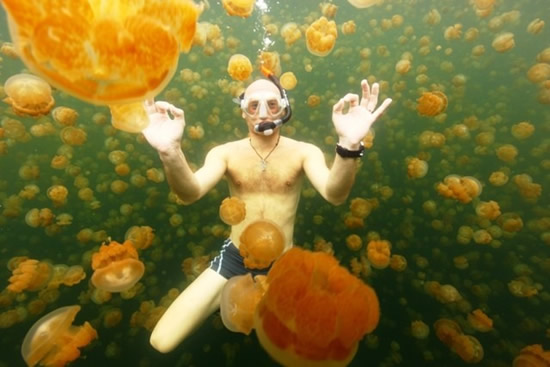 palau15.jpg palau15.jpg