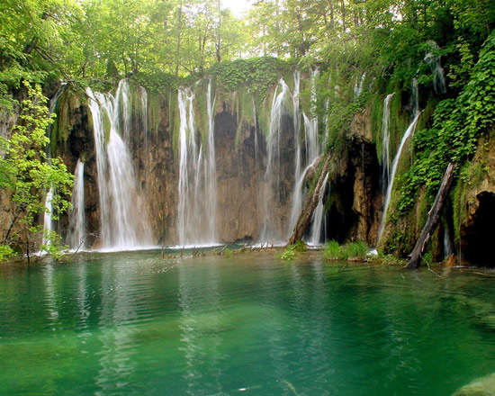 palau17.jpg palau17.jpg