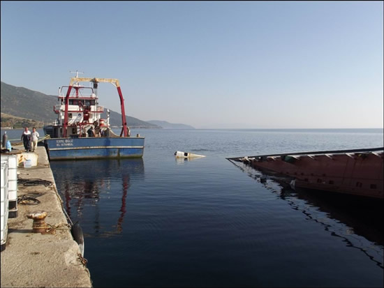 pasha.20131023153847.jpg