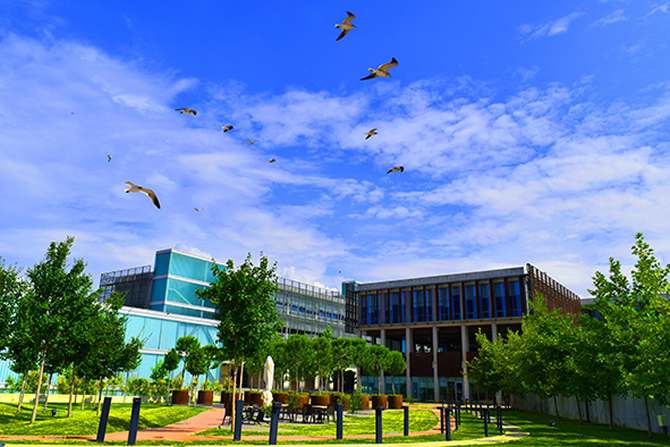 piri_reis5.jpg piri_reis5.jpg