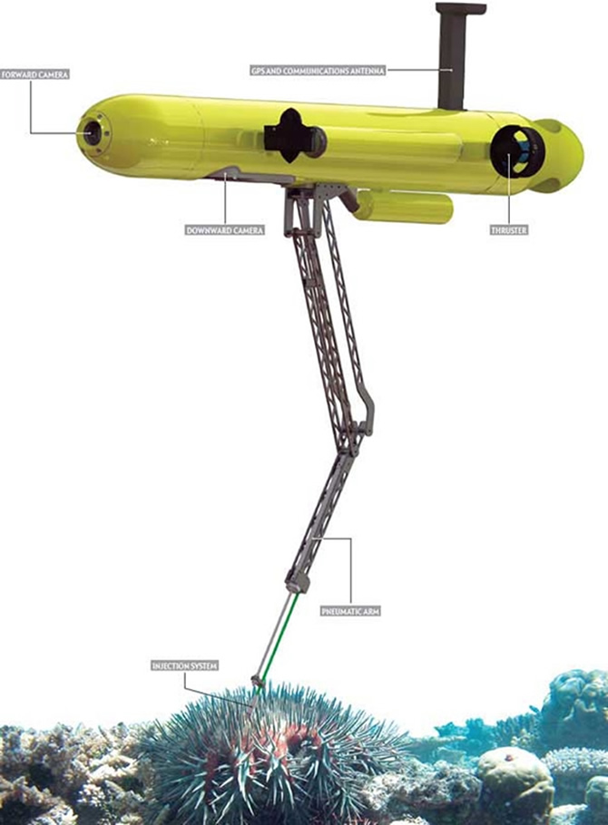 resifrobot.jpg resifrobot.jpg