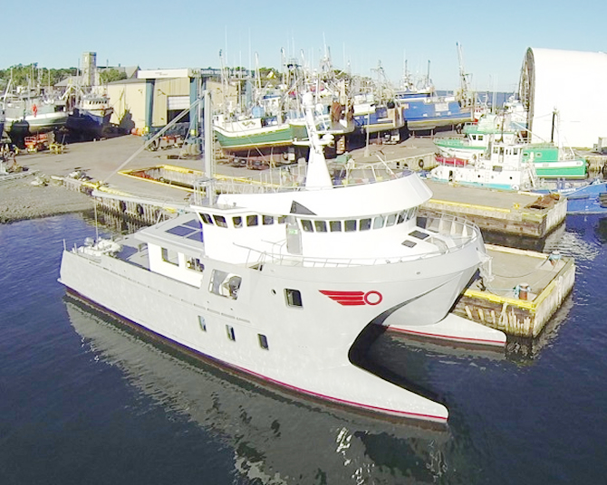 rogue2.jpg rogue2.jpg