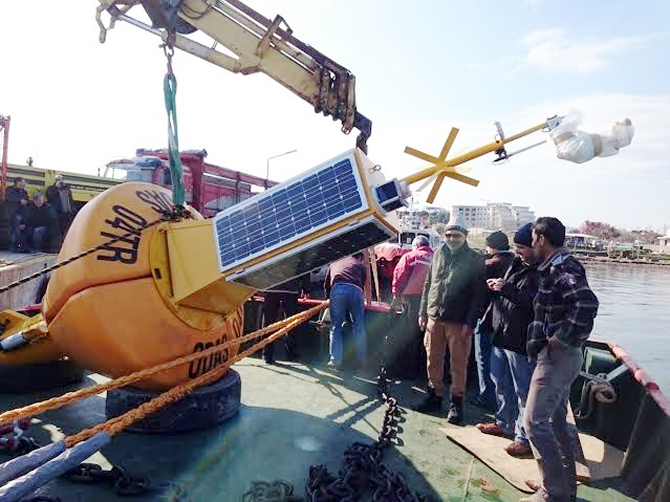 samandra.jpg samandra.jpg