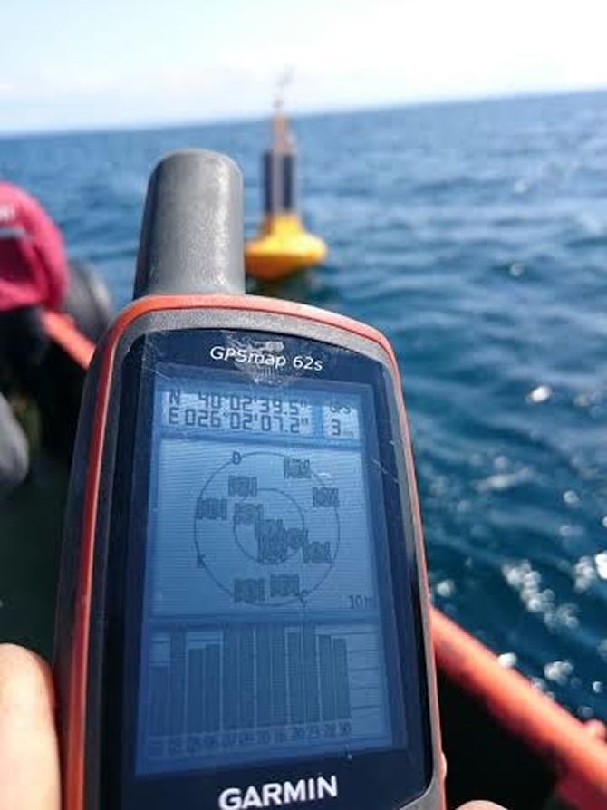 samandra1.jpg samandra1.jpg