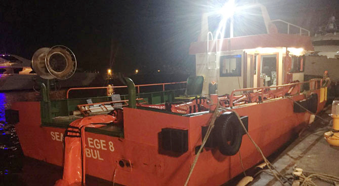 seagull1.jpg seagull1.jpg