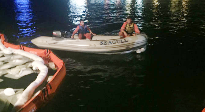 seagull2.jpg seagull2.jpg